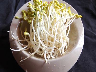 豆芽