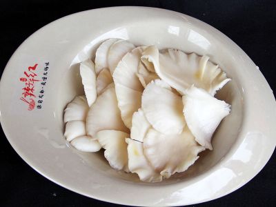 平菇