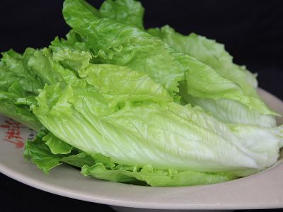 生菜